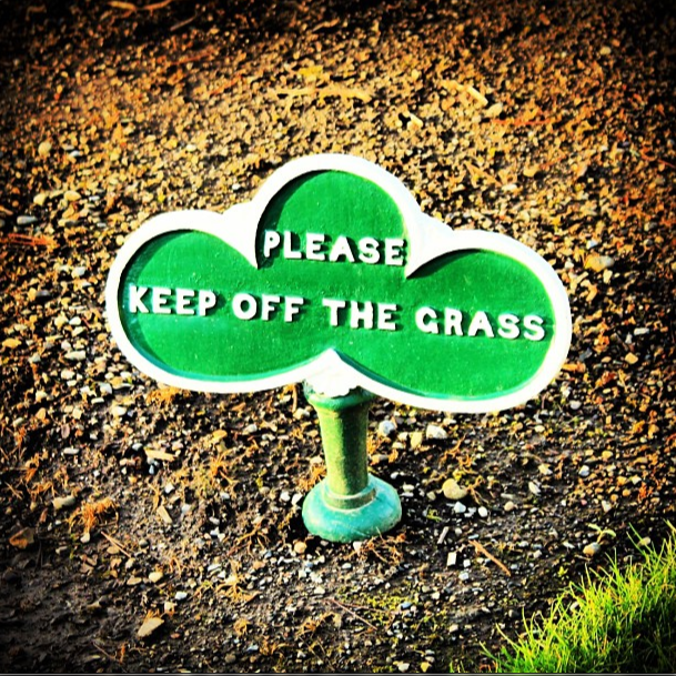 grass