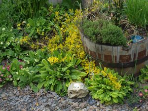ONE A FEW HERB BEDS (MIDDLE PHASE)